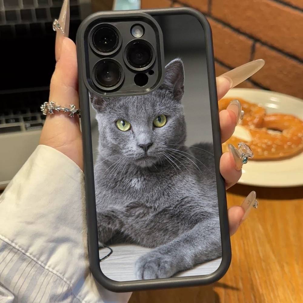 Кошка британская короткошерстная Мягкий ТПУ чехол для телефона Для iphone 17 Air 16 15 14 13 12 11 Pro Max Plus Чехол
