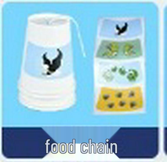 Children's Science Experiment Kit: DIY Handmade Invention and Assembly Toy for Young Innovators