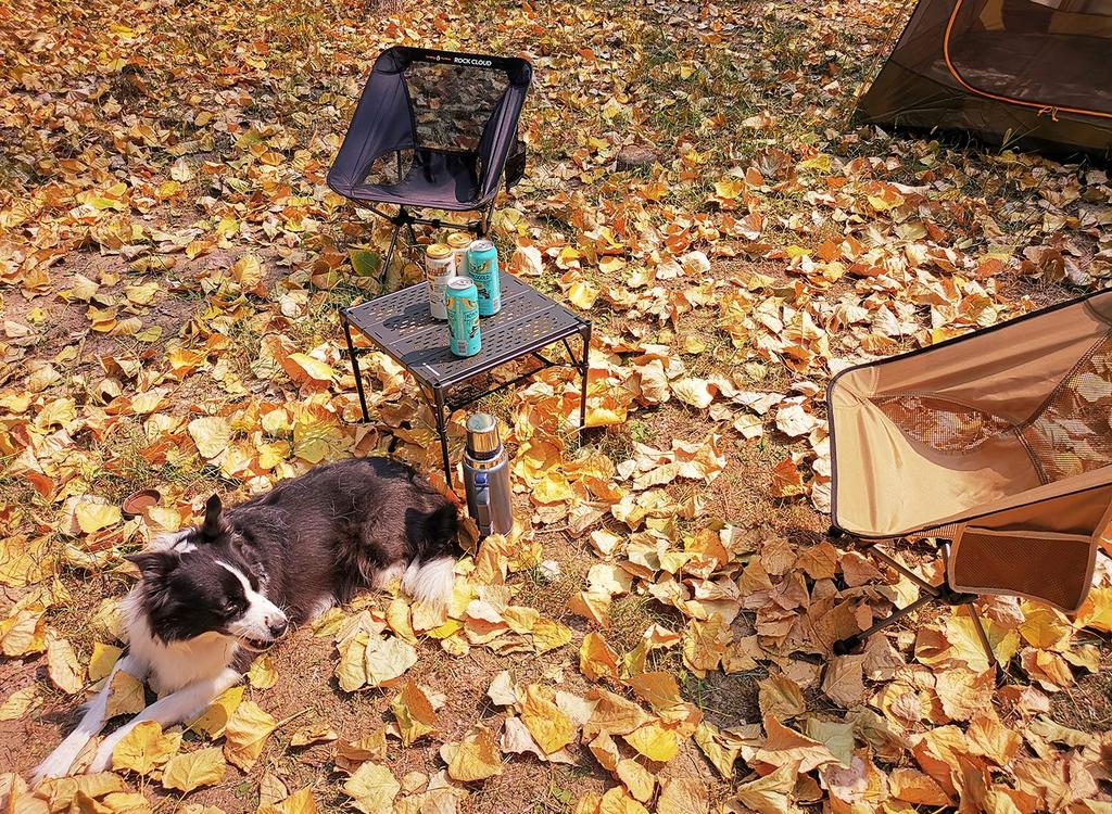 Rock Cloud Складной уличный стул с большой сеткой, ультралегкий, с высокой спинкой, компактный стул [грузоподъемность 120 кг], для рыбалки, скалолазания, переносной