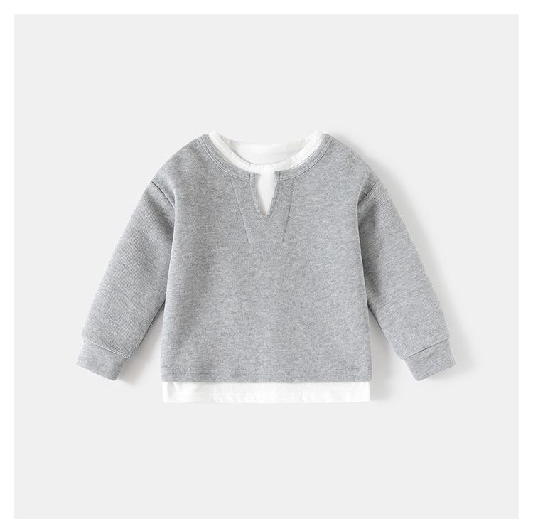 Boys' Spring Two-Piece Outfit: Hoodie and Long Pants Set for Kids