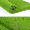Прочный ковер из искусственного мха Вечная жизнь Искусственный коврик из зеленой травы Домашний декор