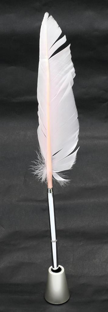 Упаковка гусиное перо латунная поворотная ручка бункерного типа латунная подставка для ручки dacap розовое перо 2-набор японская обработка + Q-S1P3WG-2-P