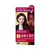 Elastane Salon De Color 100g (wine brown),Korean Hair Products