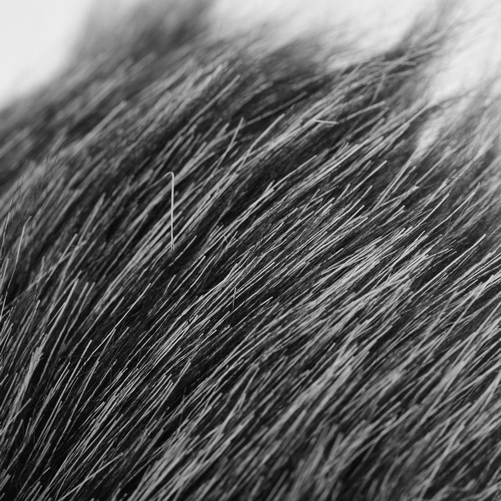 On-camera Microphone Furry Windscreen Mic Cover Muff Compatible with VideoMicro/ BOYA MM1 Microphones