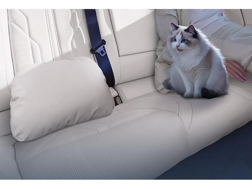 Комплект подушек для подголовника и поясничной поддержки автомобиля Haval Big Dog PLUS
