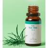 PURE:K TEA TREE 100% Oil, 10ml, 3 units