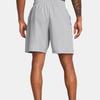 Under Armour Мужские шорты Woven Series UA Tech Graphic Shorts Серые 1377139-011