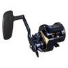 Daiwa Jigging Baitcasting Reel 25SALTIGA IC 300H-SJ-C