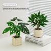 Nordic Small Potted Plant Decor - Indoor Bonsai & Bionic Greenery for Office or Living Room.