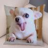 Cute Pet Animal Pillowcase Decorative Cute Puppy Chihuahua Pillowcase Soft Plush Cushion Cover for Car Sofa Home 45x45cm