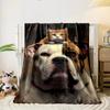 Bulldog Cat Blanket bedroom Blanket for Livingroom Couch lunch break Soft throw for Friend's festival Gift