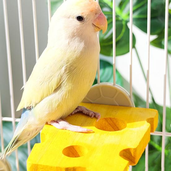 Подставка для попугаев в форме сыра, деревянная жердочка для попугаев, игрушка для жевания лап, аксессуары для клеток для птиц, волнистых попугайчиков, канареек, конур