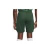 Nike Повседневные шорты Dri Fit мужские зеленые DN0736-397