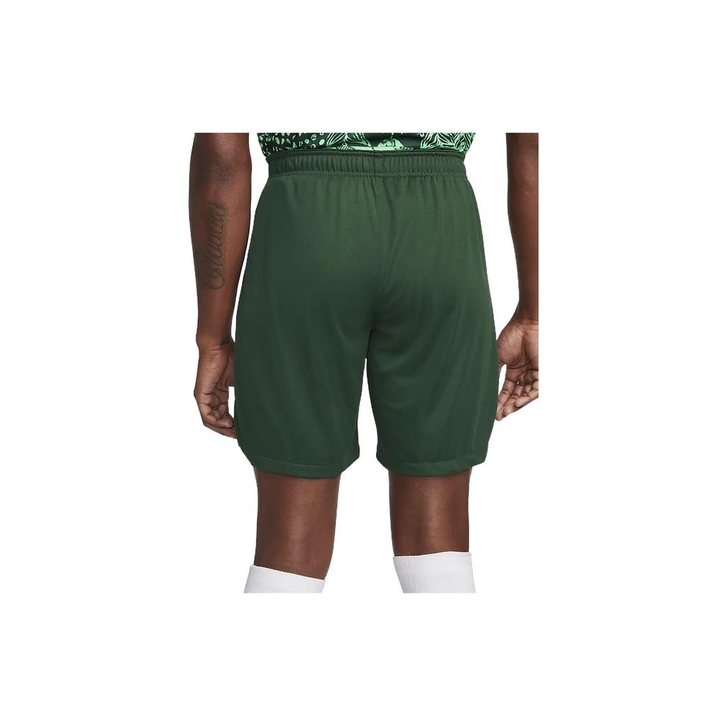 Nike Повседневные шорты Dri Fit мужские зеленые DN0736-397