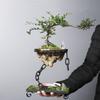 Современный орнамент, горшок для бонсай, модный подвесной горшок для суккулентов, железо, устойчивость к коррозии, орнамент для рокария, офис