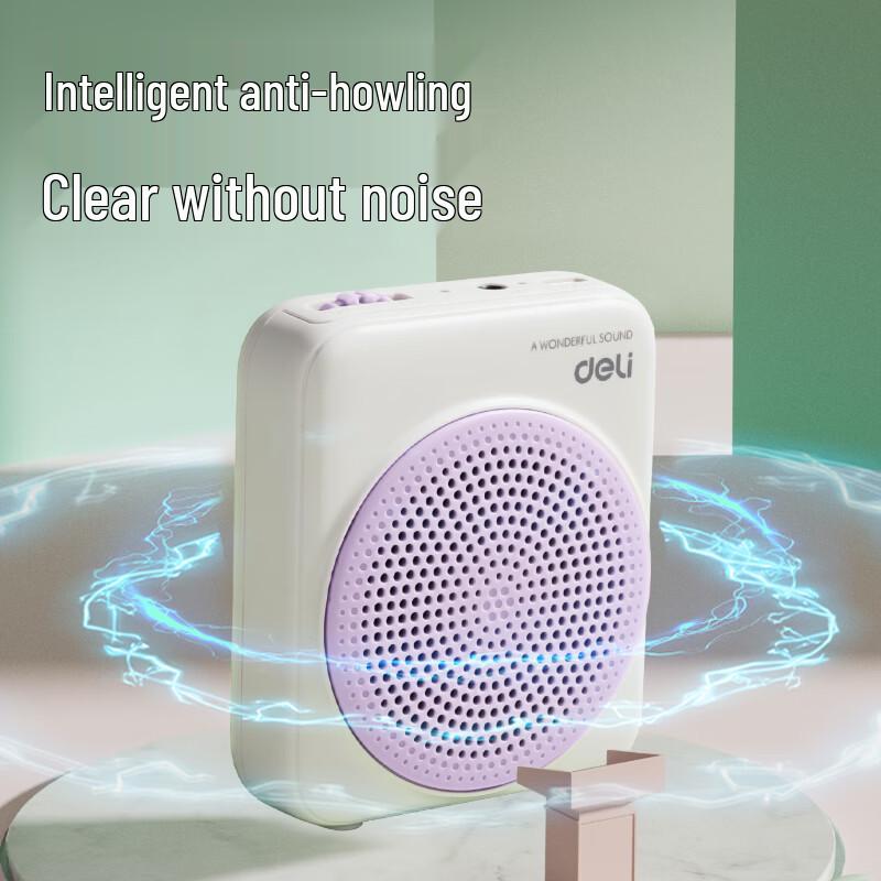 Deli LT902T 5W Portable Wireless Voice Amplifier CN plug (adapter included)