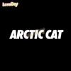 Наклейка с логотипом Arctic Cat Bad Kitty Виниловая наклейка на автомобиль Снегоход Лыжный прицеп Мотоцикл Наклейка Спортивные гоночные аксессуары Наклейка