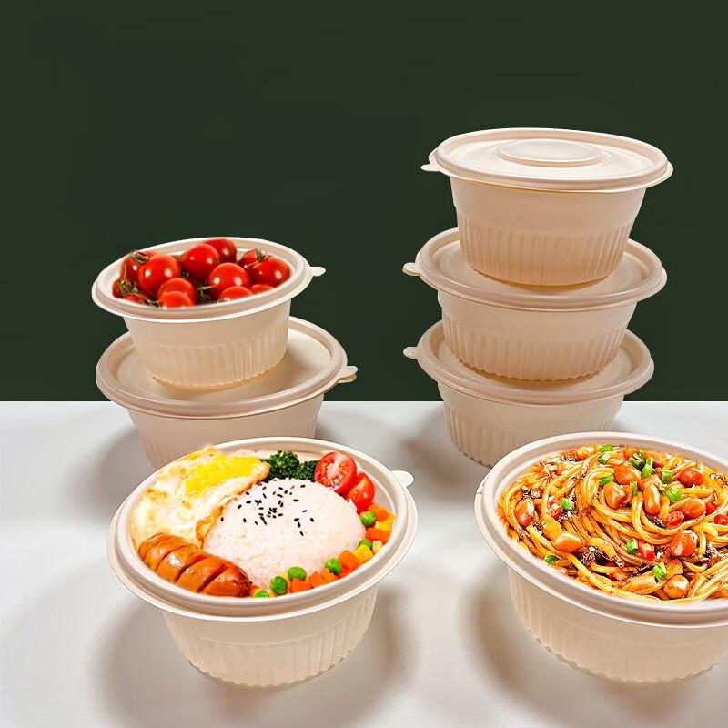 Disposable Plastic Takeaway Food Containers with Lids