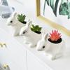 Creative Cute Flower Pots White Porcelain Pots Rabbit Flower Pots Succulent Pots Plant Pot Hanging Planter Home Decoration
