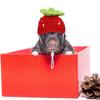 Cartoon Hamster Hat Handmade Hamster Headwear Pet Accessories Pet Knitted Hat  Photograph