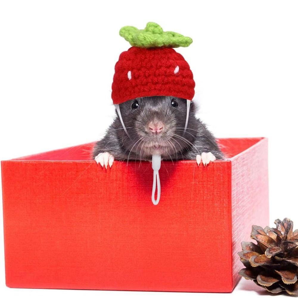 Cartoon Hamster Hat Handmade Hamster Headwear Pet Accessories Pet Knitted Hat Photograph