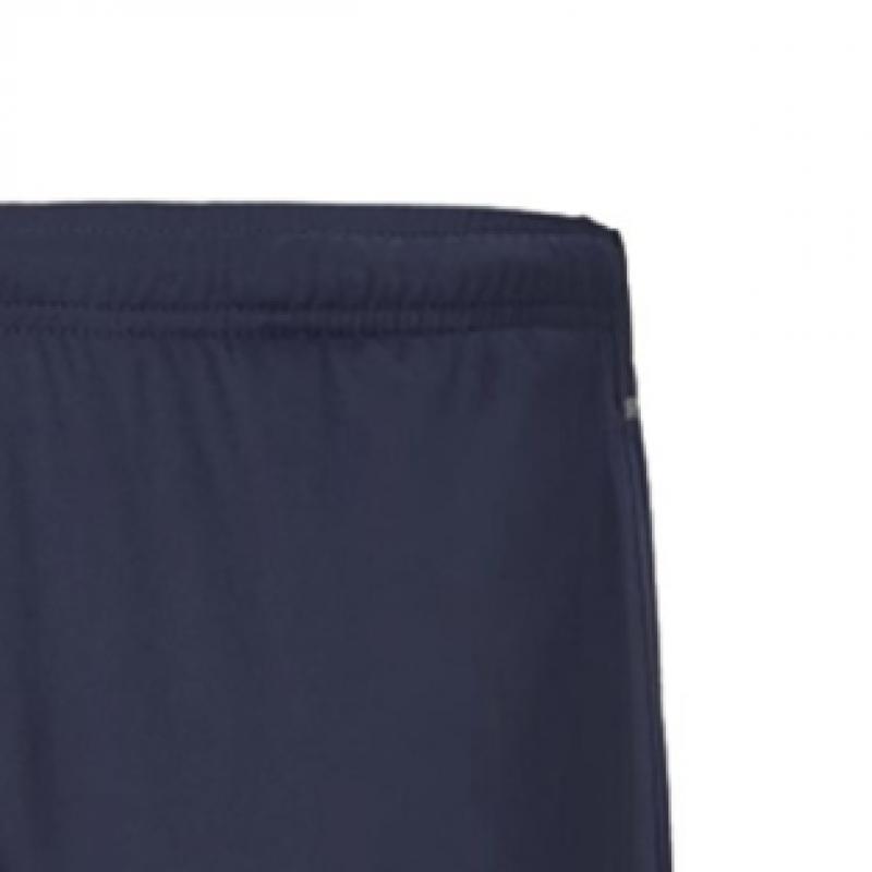 Puma Тренировочные трикотажные шорты TeamriSe 65733606 Мужские шорты