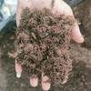 Озеленение и ландшафтный дизайн – Удобрение