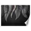Wallpaper Gray Banana Leaves