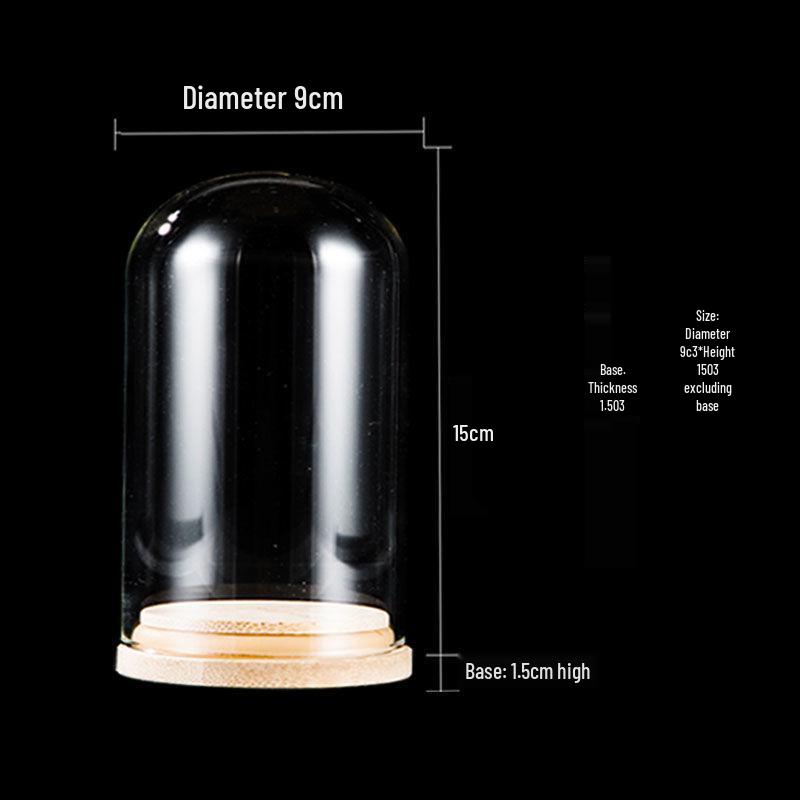 Дисплей для грецких орехов Вэньвань, тыквы и косточек оливы с бамбуковым основанием и стеклянным колпаком высокой прозрачности