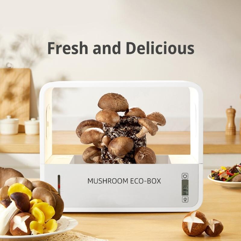 Коробка для выращивания грибов Не требует почвы Компактный дизайн Экологическая коробка для грибов с дисплеем температуры Светодиодная подсветка