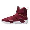 LeBron Zoom Soldier 10 Christ The King 844374-668