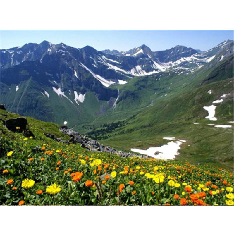 Алмазная картина, полный круглый квадратный природный пейзаж, настенные наклейки, мозаика, пляжная вышивка, горный пейзаж, алмазное искусство