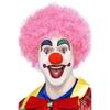 Unisex Adult Crazy Clown Wig