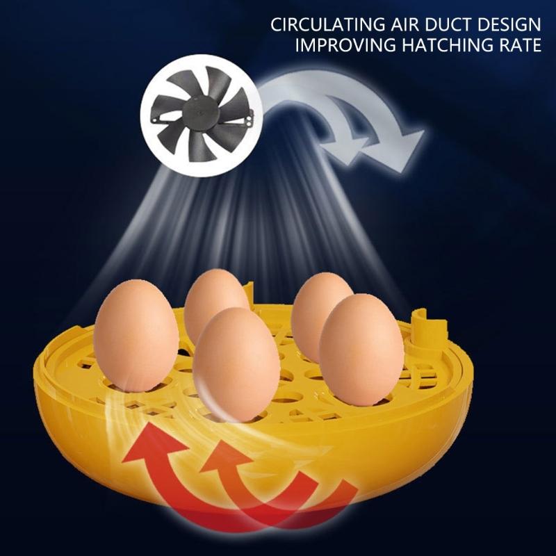 Инкубатор для яиц 5 яиц Инкубаторы для высиживания яиц Контроль тепла и влажности 5 яиц Полностью переворачивающийся Инкубатор для птицы