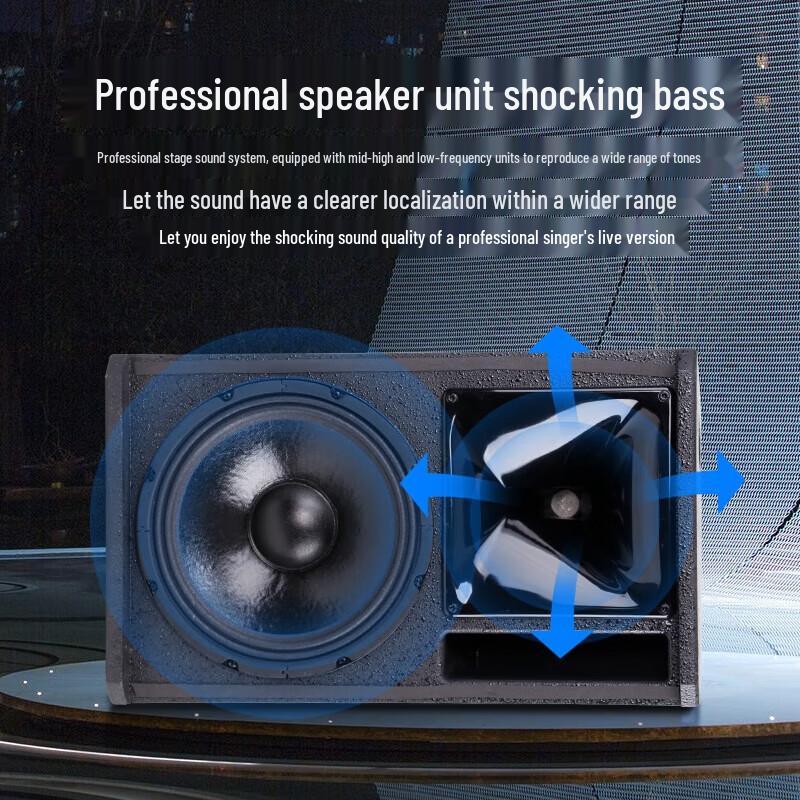 SAST Professional 12-дюймовая пассивная караоке акустическая система