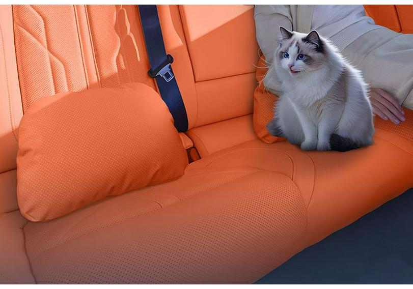 Enjoy S9T Headrest: Essential Lumbar & Neck Support for Automotive Interior