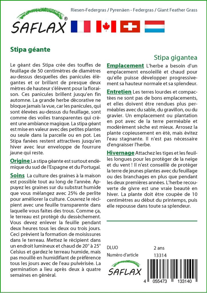 SAFLAX Garden in the Bag - Ковыль гигантский - 10 семян - С субстратом в подходящем пакете - Stipa gigantea