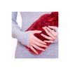 Cats In Istanbul Claret Red Plush Hot Water Bag