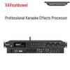 XEW-F6 Профессиональный аудиопроцессор для караоке (Китайская версия)