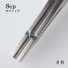 Tie September Made in New Life Gift [TVRT] Men's Clip, Birthstone, Japan, Brass, Stylish, (Sapphire)