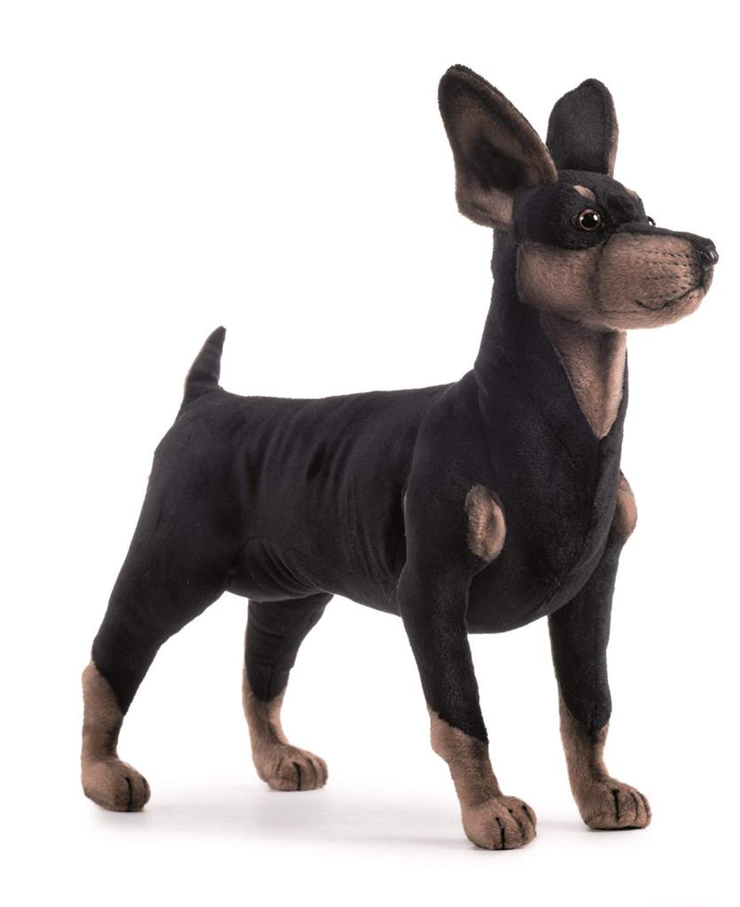 BH3877 HANSA Pinscher 43