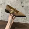 French Thick Heel Pointed Head Temperament Single Shoes Women's Spring and Autumn 2025 New Models with Skirts with Evening Mary Jane Shoes