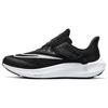 Air Zoom Pegasus 39 FlyEase Black White Women Sneakers Dark-Smoke-Grey DJ7383-001