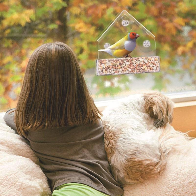 Acrylic Hanging Bird Feeder with Splash Prevention for Balcony or Window.