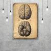 Мозг Смешная металлическая табличка для бара Ретро-пластина Винтажная табличка Алкоголик Паб Клуб Мужская берлога Кухня Настенное украшение