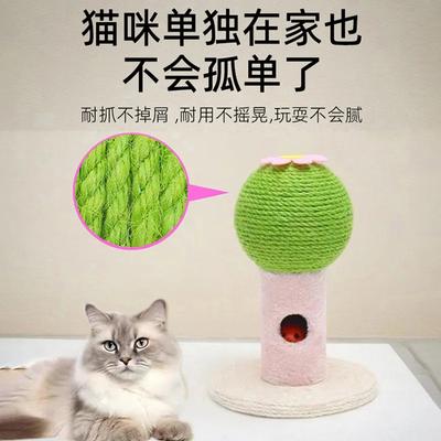 Популярная сизаль кошачья когтеточка износостойкая кактус-царапка маленькая кошачья колонна игрушка для домашних животных