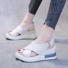 New Summer Women's Shoes Wedge Heel Platform Single Shoes Women's High-heeled Sandals Women's