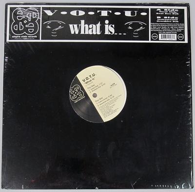 12-дюймовая пластинка VOICE OF THE UNDERGROUND - What Is ES28 Empire State Re 1995 US Танцевальная и Электронная Б/У