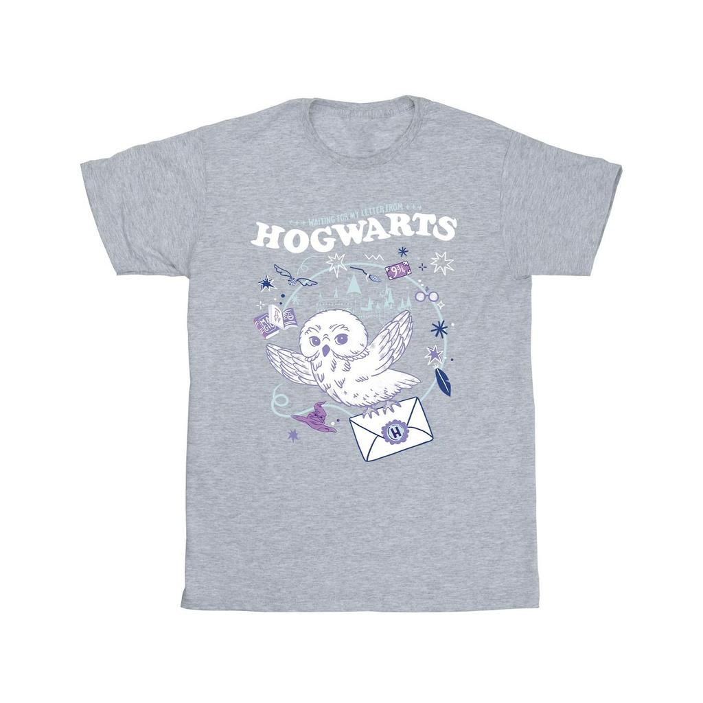 Harry Potter Mens Owl Letter From Hogwarts T-Shirt