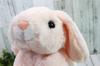 Take Off Maron the Medium Plush Toy with Music Box Lop-Eared Rabbit, Pink,